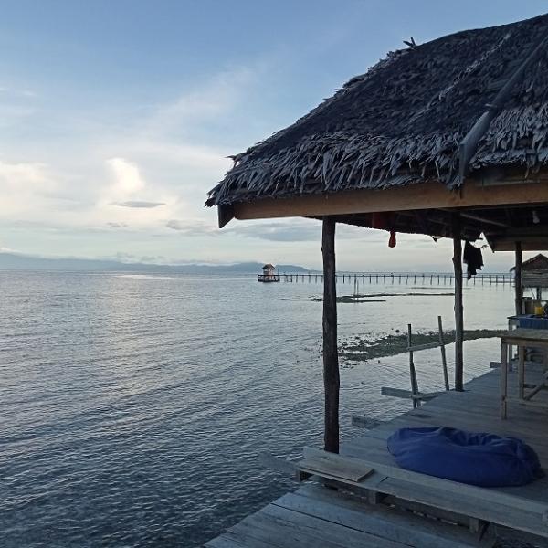 View from private rooms 